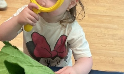 Exploring with Squash Leaves!