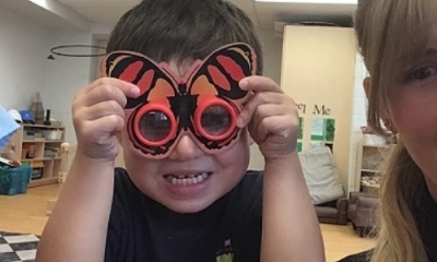 Bugs, Bugs, Bugs!