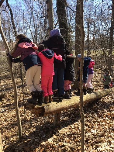 6 School Age children standing on a log close to each other, one school age child is holding onto a tree in front of her - 1 school age child in the distance standing on the ground