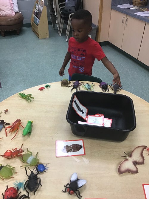 child playing with a bucket of pretent bugs