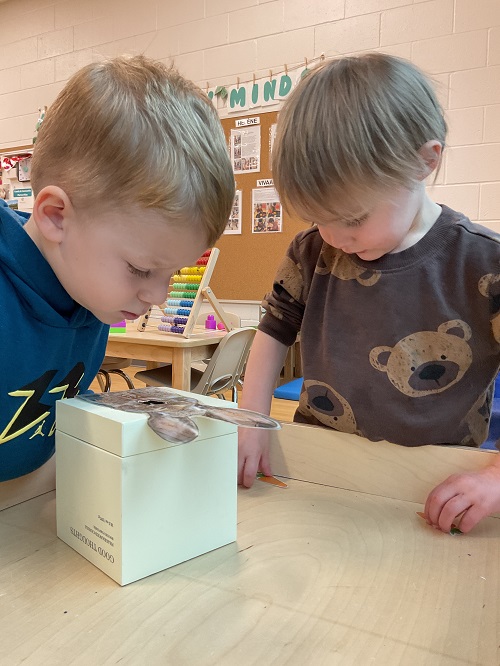 children looking into the bunny mouth