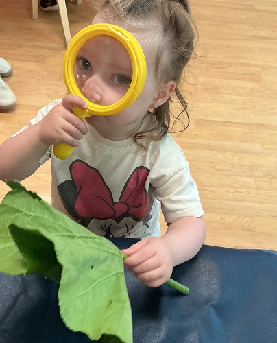 Child looking through magnifying glass