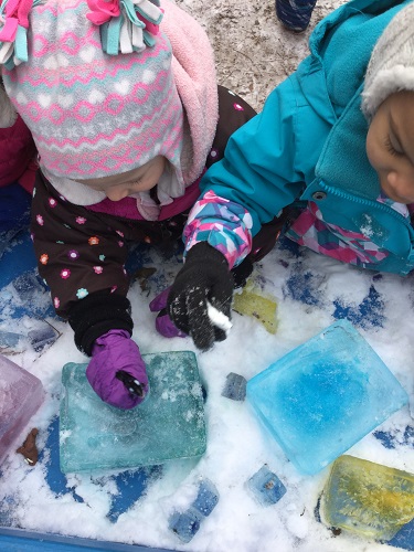 Two preschool girls playing with animals in coloured ice.