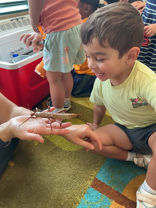 child holding a bug in their hand
