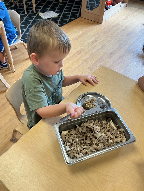 Child serving their own lunch.