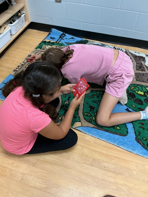 Two children playing a game on the carpet.