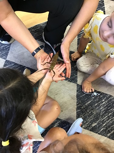 2 Preschool children sitting with an adult who is holding a big bug.
